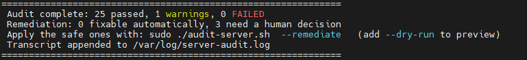 Audit summary line